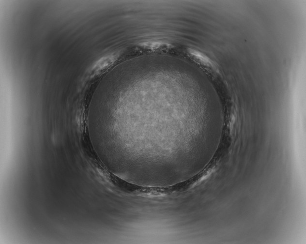 X0000087061014200704181253