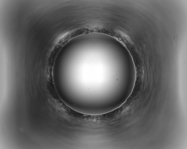 X0000087061016200704181254