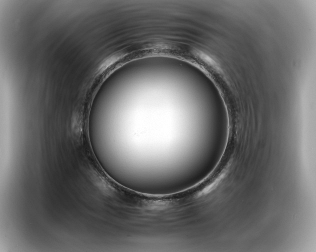 X0000087061017200704181254