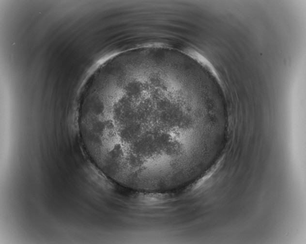 X0000087061019200704181254