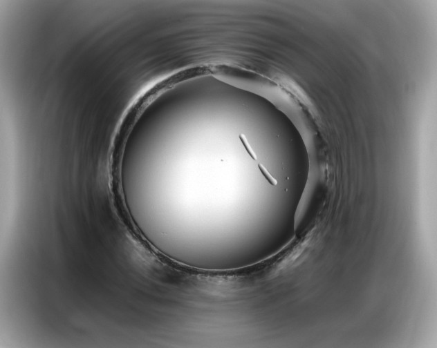 X0000087061020200704181254