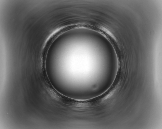 X0000087061021200704181254