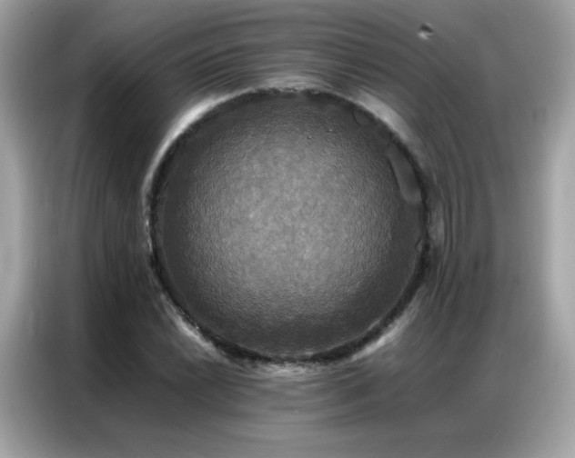 X0000087061022200704181254