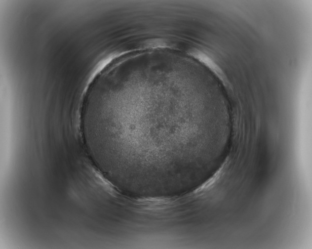 X0000087061023200704181254