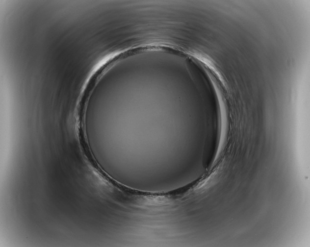 X0000087061024200704181254
