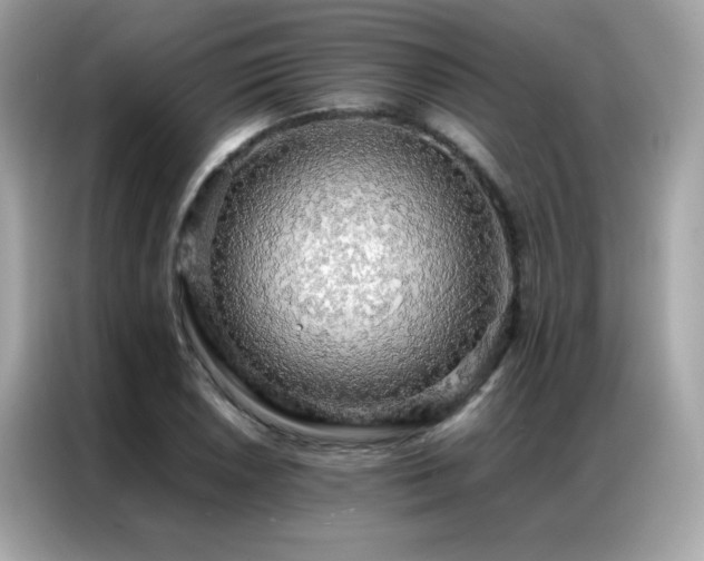 X0000087061026200704181254