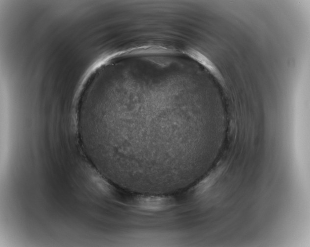 X0000087061027200704181254