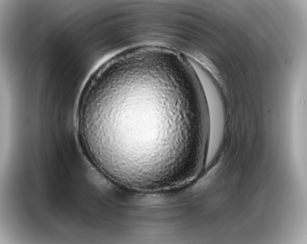 X0000087061028200704181254