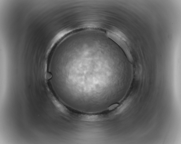 X0000087061030200704181254