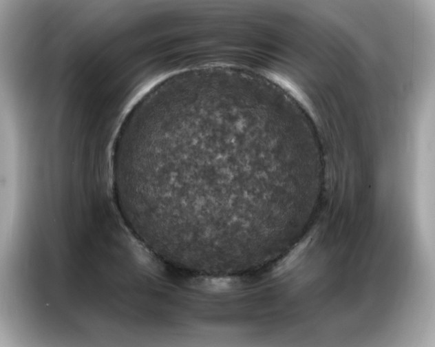 X0000087061031200704181254