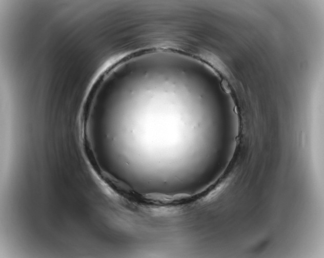 X0000087061032200704181254