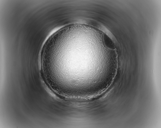 X0000087061036200704181254