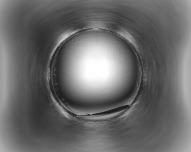 X0000087061040200704181254