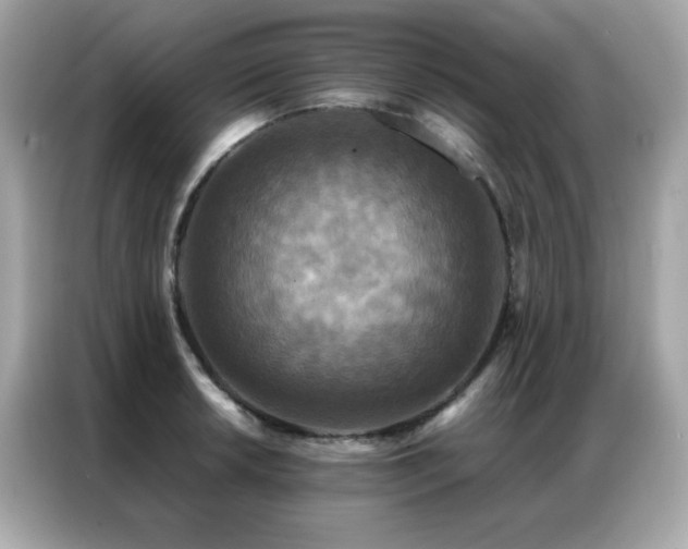 X0000087061042200704181254