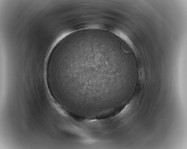 X0000087061043200704181254