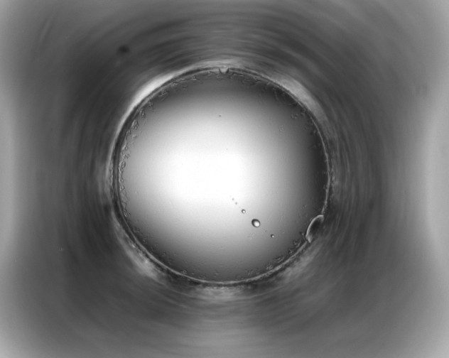 X0000087061044200704181254