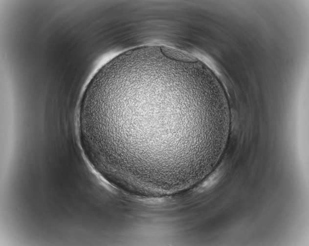 X0000087061048200704181254