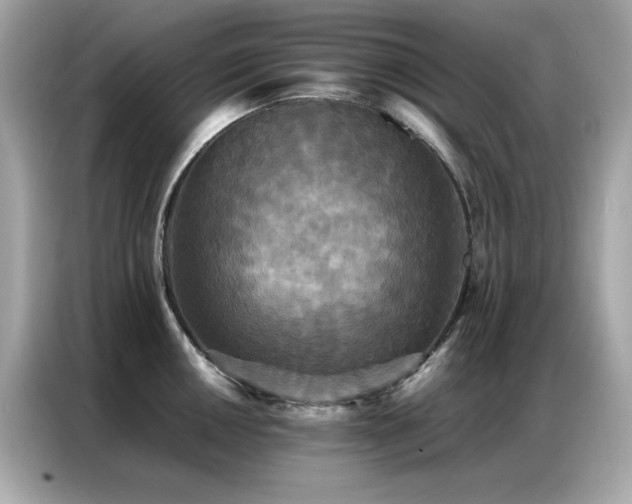 X0000087061050200704181254