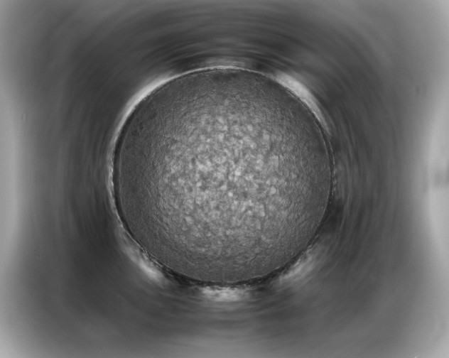 X0000087061051200704181254