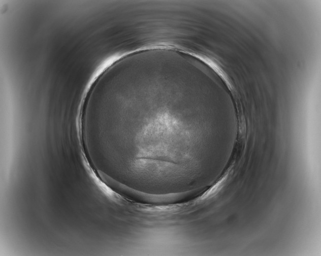 X0000087061054200704181254