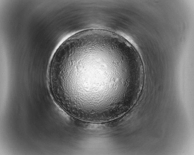 X0000087061056200704181254