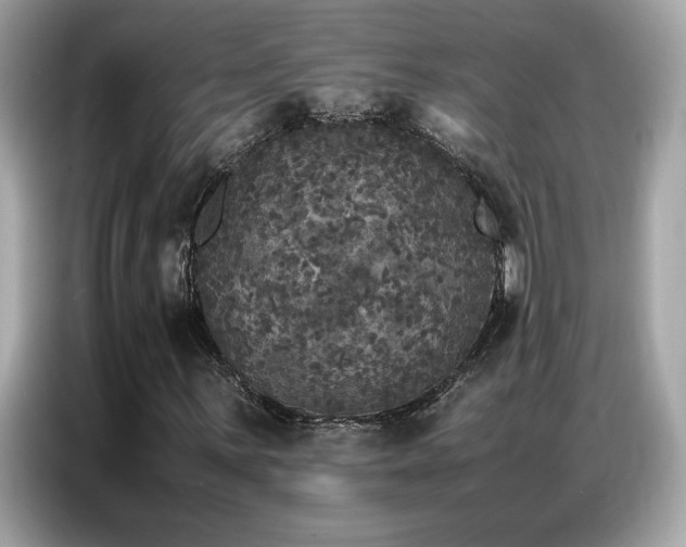 X0000087061059200704181253