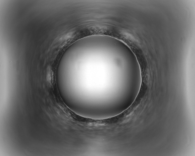 X0000087061061200704181253