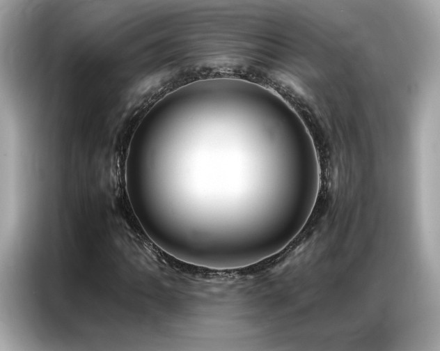 X0000087061062200704181253