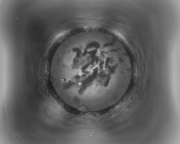 X0000087061063200704181253