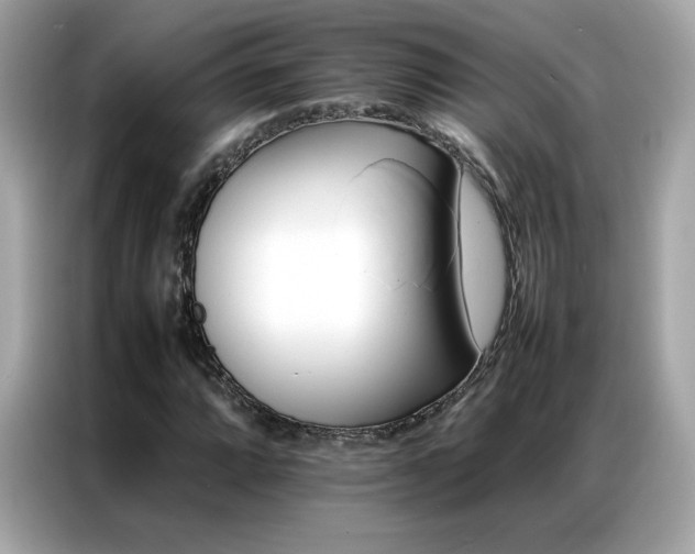X0000087061064200704181253