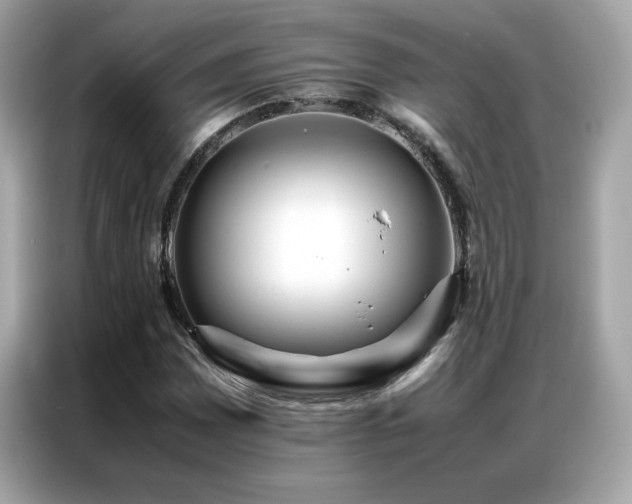 X0000087061065200704181253