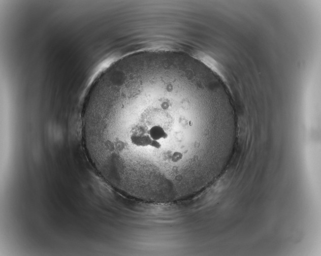 X0000087061067200704181253