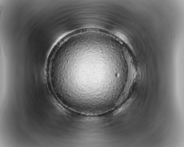 X0000087061068200704181253
