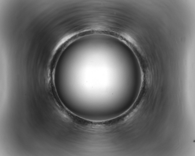 X0000087061070200704181253