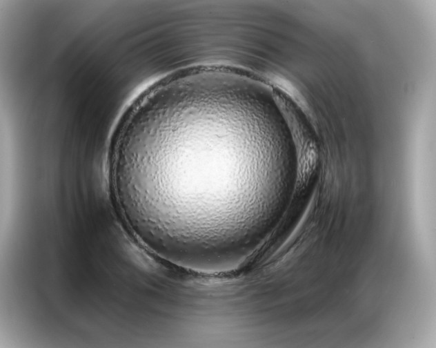 X0000087061076200704181253