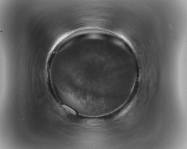 X0000087061077200704181253