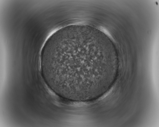 X0000087061079200704181253