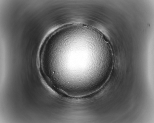 X0000087061080200704181253