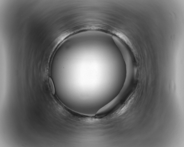 X0000087061081200704181253