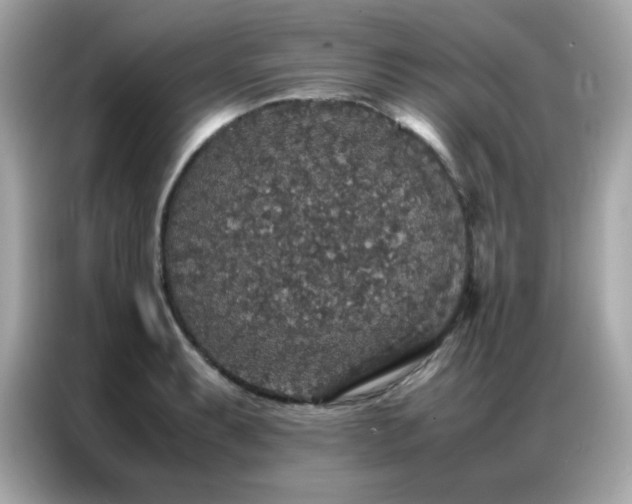 X0000087061087200704181253