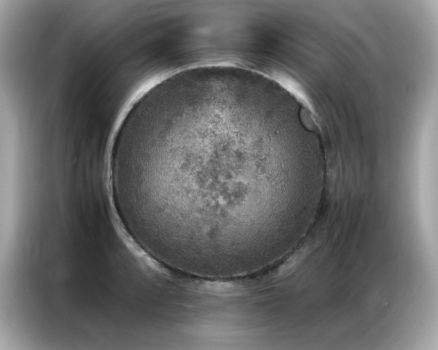 X0000087061088200704181253