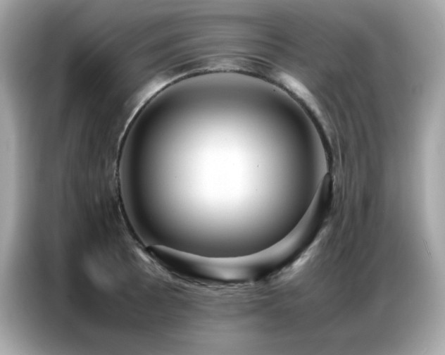 X0000087061089200704181253