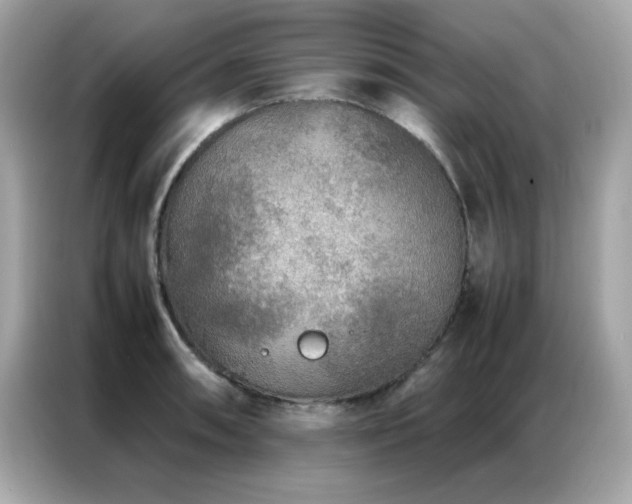 X0000087061090200704181253