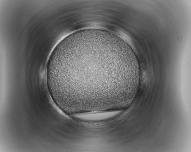 X0000087061092200704181253