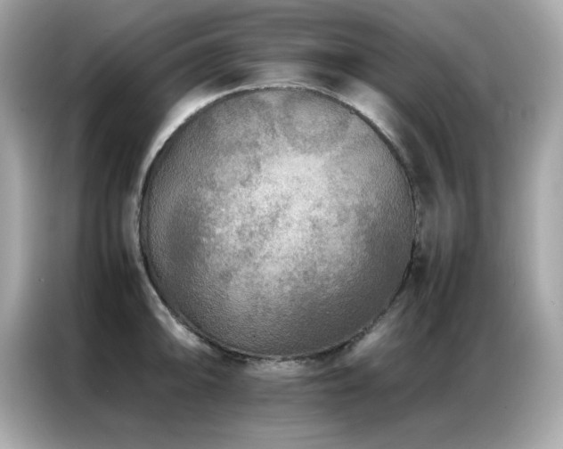 X0000087061094200704181253