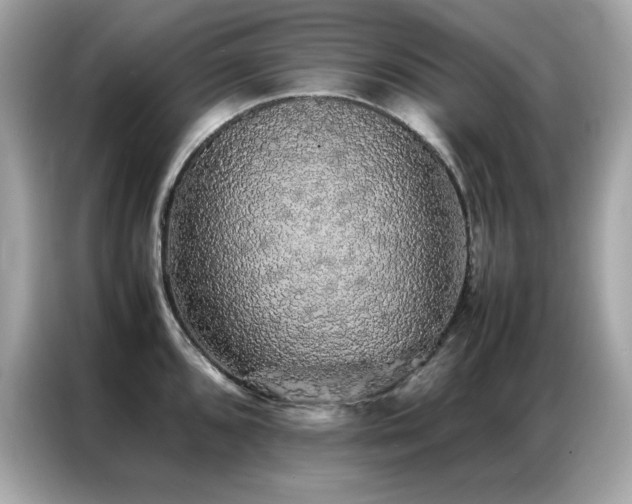 X0000087061096200704181253