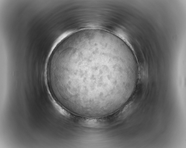 X0000087061098200704181253
