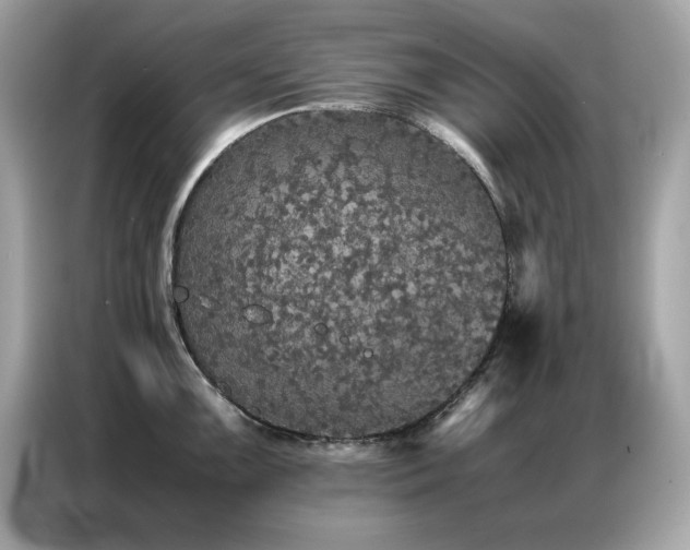 X0000087061099200704181253