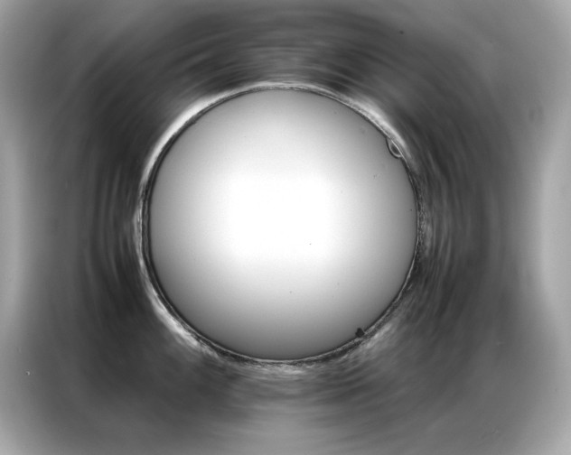 X0000087061100200704181253