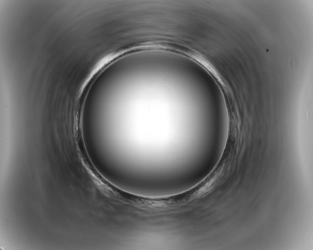 X0000087061101200704181253
